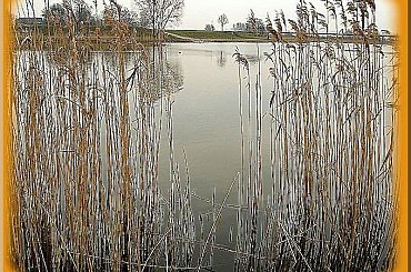 wiosenny spacer nad kanałem #inaczej #spacer #szuwary #woda #twórcze #Gdańsk #przeróbki