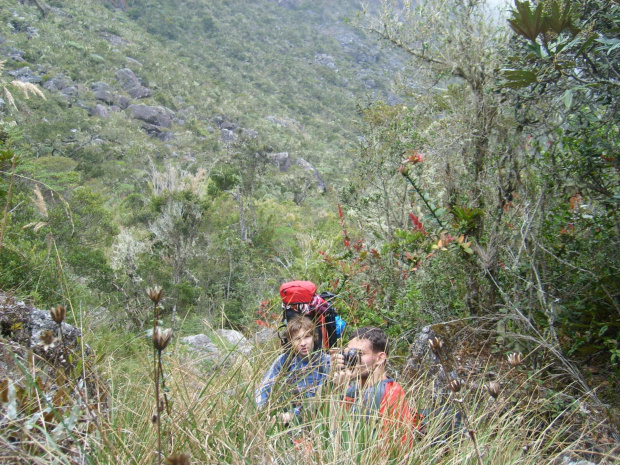 pn sierra nevada de merida