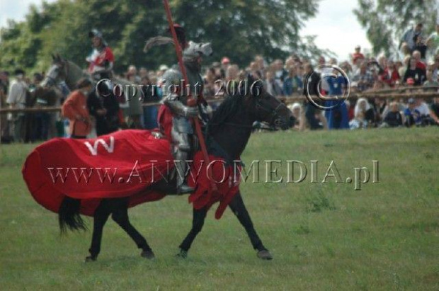 Inscenizacja Bitwy pod Grunwaldem 15.07.2006r.
www.ANWOMEDIA.pl