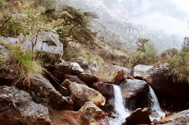 sierra nevada de merida, laguna coromoto 3200 m