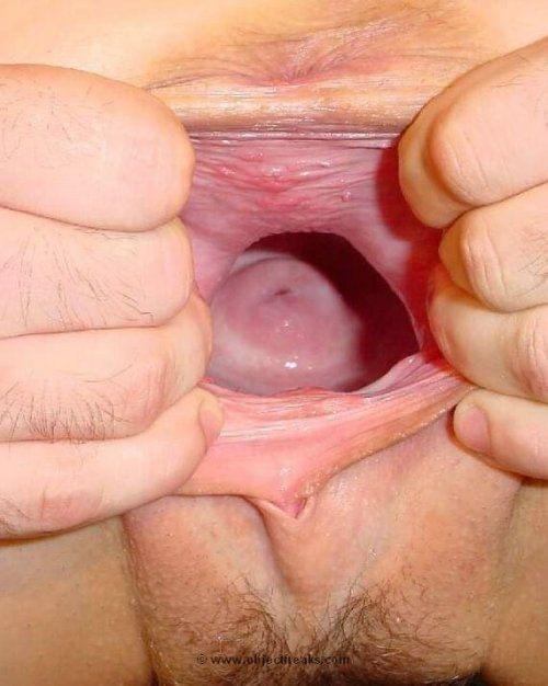 What Does The Inside Of A Vagina Look Like