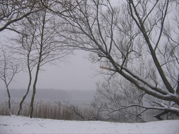 szczecinecki park zimą #ParkZimaJezioroŚnieg