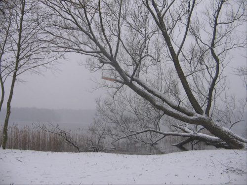 szczecinecki park zimą #ParkZimaJezioroŚnieg