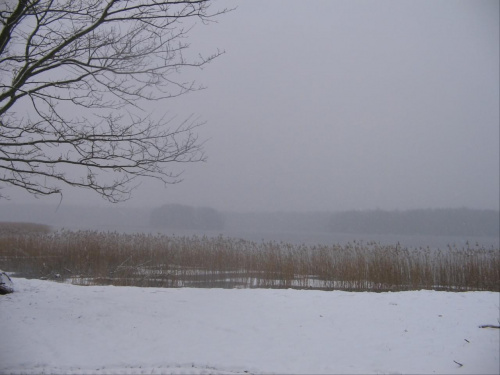 szczecinecki park zimą #ParkZimaJezioroŚnieg