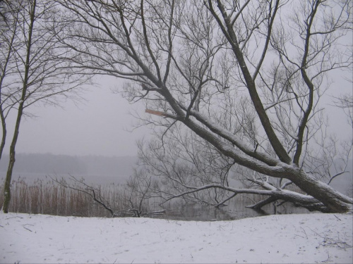 szczecinecki park zimą #ZimaParkSzczecinekJezioro