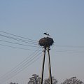 Bocian przyleciał! Zdjęcia z Łukowa śl. powiat Rybnik.