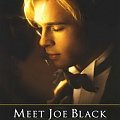 Joe.Black.1998.PL.AC3.DVDRip.XviD-BiNL