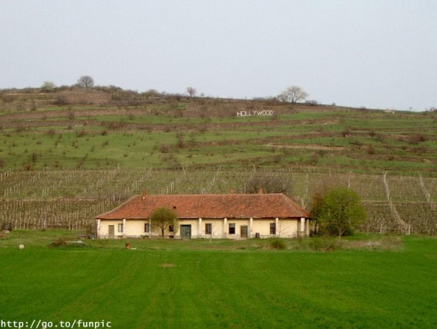 fotunie pozytywnie zakręcone