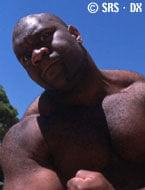 bob sapp