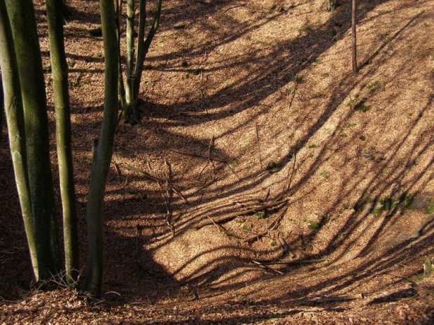 Fotorelacja z wycieczki rowerowej po Szlaku Bursztynowym z GRT w okolicach Gdańska