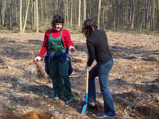 28 marca klasa 3 TAK uczestniczyła w sadzeniu lasu. Fot. Magdalena Pilzak #Sobieszyn #Brzozowa #AlertEkologiczny #TechnikumArchitekturyKrajobrazu