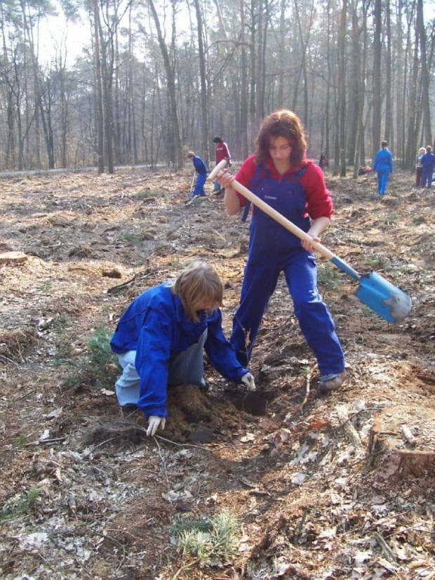 28 marca klasa 3 TAK uczestniczyła w sadzeniu lasu. Fot. Magdalena Pilzak #Sobieszyn #Brzozowa #AlertEkologiczny #TechnikumArchitekturyKrajobrazu