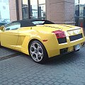 #Gallardo