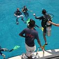 Diving off the Boat into the crystal clear water #diving #Egipt #egzotyka #fauna #flora #gady #WielkiBłękit #morze #MorzeCzerwone #natura #nurkowanie #PodWodą #płazy #przyroda #rafa #ryba #ryby #snorkling #snurkowanie #ssaki #woda