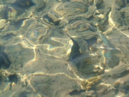 34 #diving #Egipt #egzotyka #fauna #flora #gady #WielkiBłękit #morze #MorzeCzerwone #natura #nurkowanie #PodWodą #płazy #przyroda #rafa #ryba #ryby #snorkling #snurkowanie #ssaki #woda