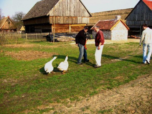 Walka z bestiami