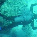 Diver under glass bottom boat #diving #Egipt #egzotyka #fauna #flora #gady #WielkiBłękit #morze #MorzeCzerwone #natura #nurkowanie #PodWodą #płazy #przyroda #rafa #ryba #ryby #snorkling #snurkowanie #ssaki #woda