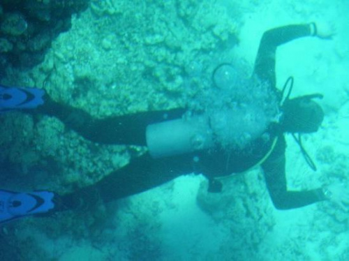 Diver under glass bottom boat #diving #Egipt #egzotyka #fauna #flora #gady #WielkiBłękit #morze #MorzeCzerwone #natura #nurkowanie #PodWodą #płazy #przyroda #rafa #ryba #ryby #snorkling #snurkowanie #ssaki #woda