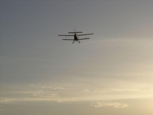 AN-2 (Aeroklub Gliwicki) #samolot #niebo #ZachódSłońca #aeroklub #gliwice