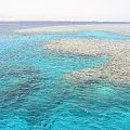 One of the snorkeling spots on the boat trip #diving #Egipt #egzotyka #fauna #flora #gady #WielkiBłękit #morze #MorzeCzerwone #natura #nurkowanie #PodWodą #płazy #przyroda #rafa #ryba #ryby #snorkling #snurkowanie #ssaki #woda