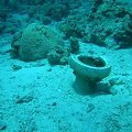 SharkYolanda reef at Ras Mohammed #diving #Egipt #egzotyka #fauna #flora #gady #WielkiBłękit #morze #MorzeCzerwone #natura #nurkowanie #PodWodą #płazy #przyroda #rafa #ryba #ryby #snorkling #snurkowanie #ssaki #woda