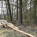 Gurskien - obecnie kolonia Kotła Dużego