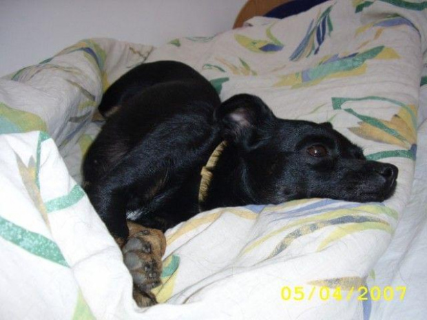 Bajka