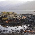 W drodze z Loch Ness na Skye Island Eilean Donan Castle