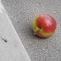 apple on the concrete