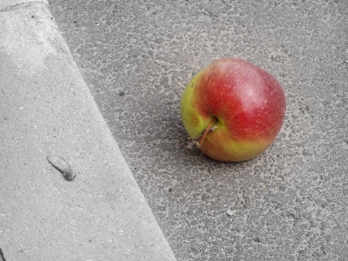 apple on the concrete