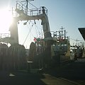 Port Rybacki w Cuxhaven