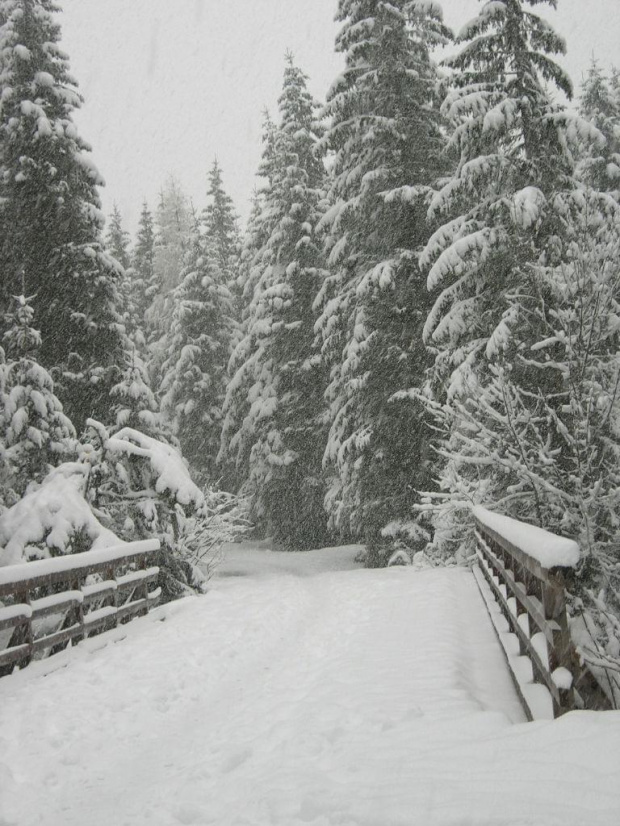 Dolina Kościelaska