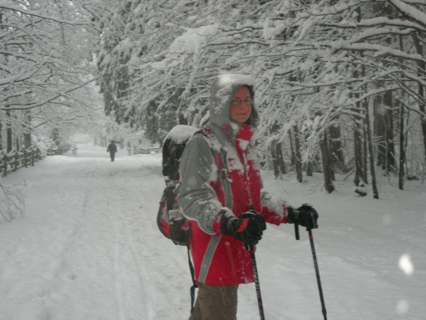 Dolina Kościeliska