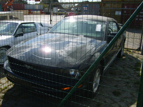 Mustang Cabrio