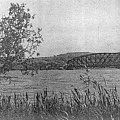 FINKENWALDE