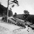 FINKENWALDE