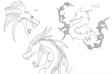 #Crock #Haris #Shadow