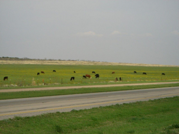 Texas