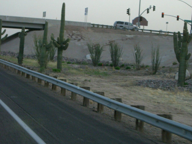 Arizona