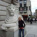 lew pod budynkiem rady Miasta (miejsce spotkań - odpowiednik toruńskiego Kopernika)