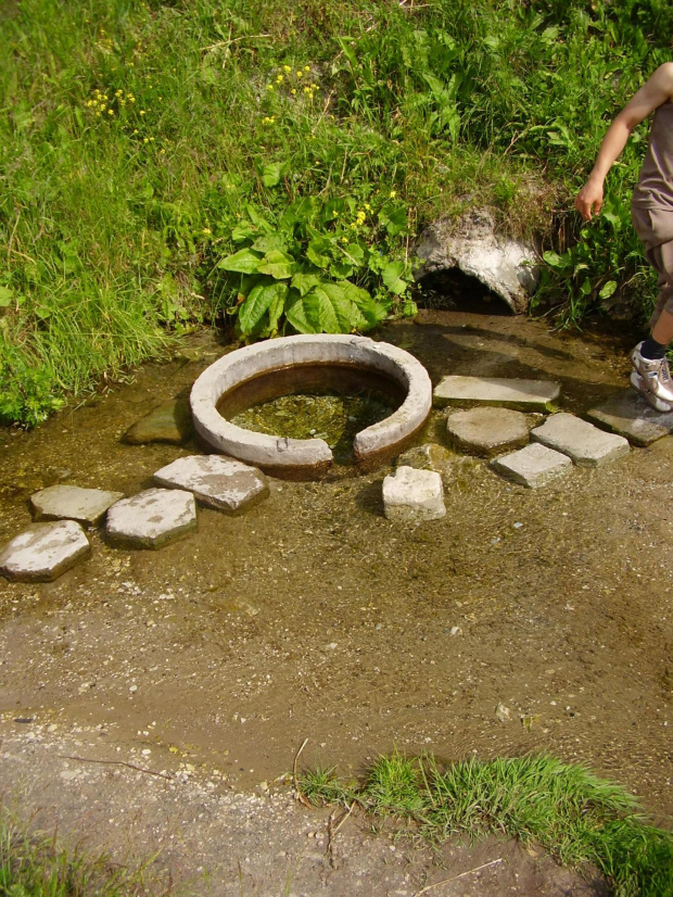 Wszystkich wycięczonych, zmęczonych życiem zapraszam do przepięknego źródełka aby ukoić pragenie życia cudowną, krystalicznie czystą wodą. #StołpieStawŹródełko