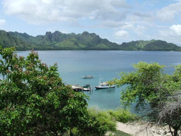 Indonezja, Wyspa Komodo - na tej wyspie żyją słynne ''smoki" - warany - widok na przystań #Azja #Bali #Indonezja #Komodo