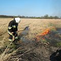 Dzisiaj t.j. 12.04.2007 ok. godziny 16.00 zostaliśmy, zadysponowani do pożaru suchej trawy w miejscowości Nowe Kolnie. Spaleniu uległy nieużytki rolne, o powierzchni ok. 3ha na terenie zalewowym, przy rzece Odra. Po powrocie do remizy, po ok. 5 minutac...