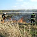 Dzisiaj t.j. 12.04.2007 ok. godziny 16.00 zostaliśmy, zadysponowani do pożaru suchej trawy w miejscowości Nowe Kolnie. Spaleniu uległy nieużytki rolne, o powierzchni ok. 3ha na terenie zalewowym, przy rzece Odra. Po powrocie do remizy, po ok. 5 minutac...