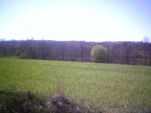 Pałac w Lubostroniu