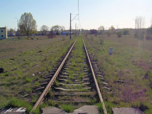 Między Bydgoszcz Brdyujście a Bydgoszcz Akademia. W stronę Bydgoszcz Wschód.