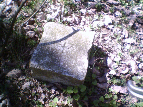 Pałac w Lubostroniu