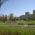 Park, niedawno zbudowany