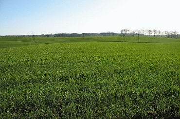 #OkoliceOlsztyna #Bartążek #Bartąg #pole #konie #rower #jeziora #Warmia #mazury #PunktWidokowy #trawa #zieleń