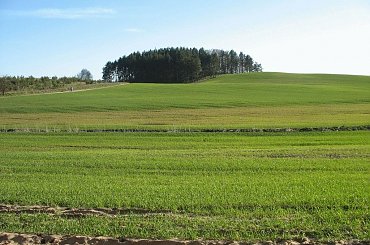 #OkoliceOlsztyna #Bartążek #Bartąg #pole #konie #rower #jeziora #Warmia #mazury #PunktWidokowy #trawa #zieleń